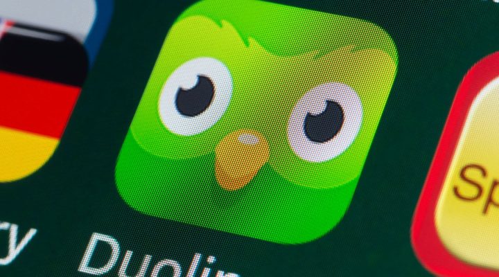 Duo Lingo Put Your Wasted Time to Good Use