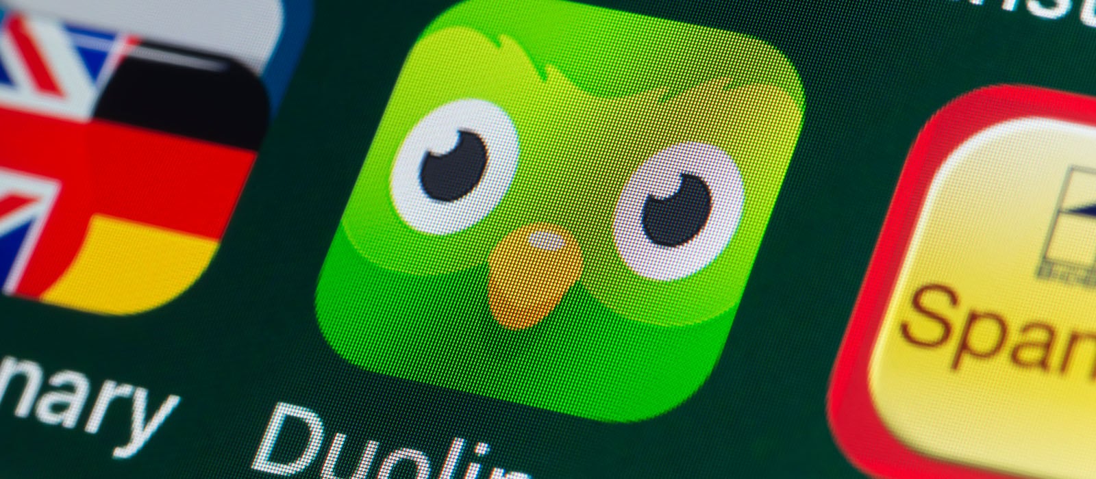 Duo Lingo Put Your Wasted Time to Good Use